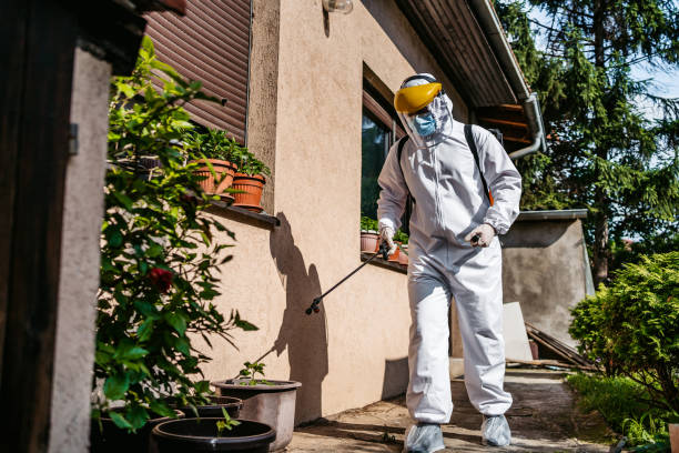 Best Flea Control Services  in Bayside, WI