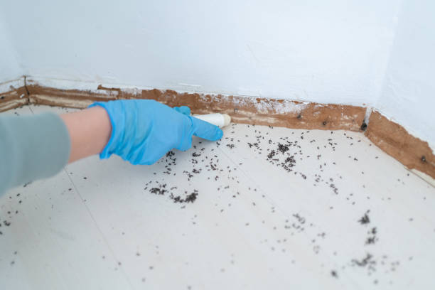 Bayside, WI Pest Control Company